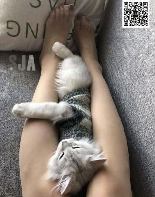 魔法坏女巫