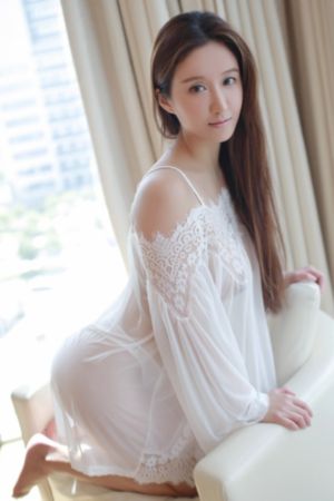 枫与铃动漫免费看全集