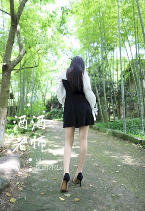 高官性h系列小说