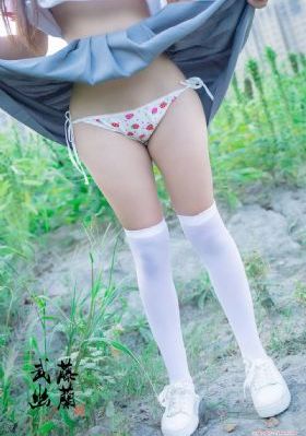 我在冷宫忙种田电视剧