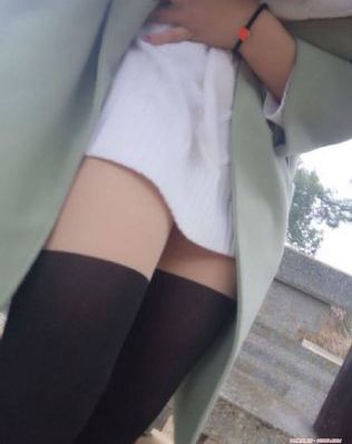 内衣办公室动漫免费