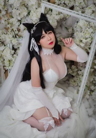 电影可可西里
